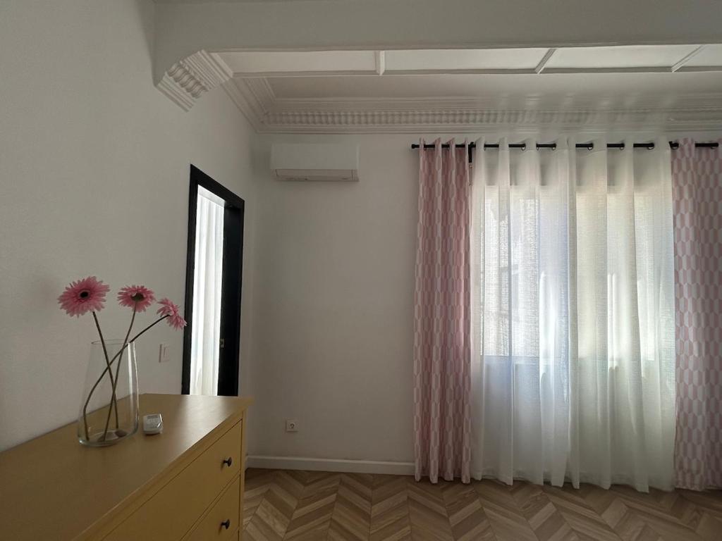 Gandia Allure - 4