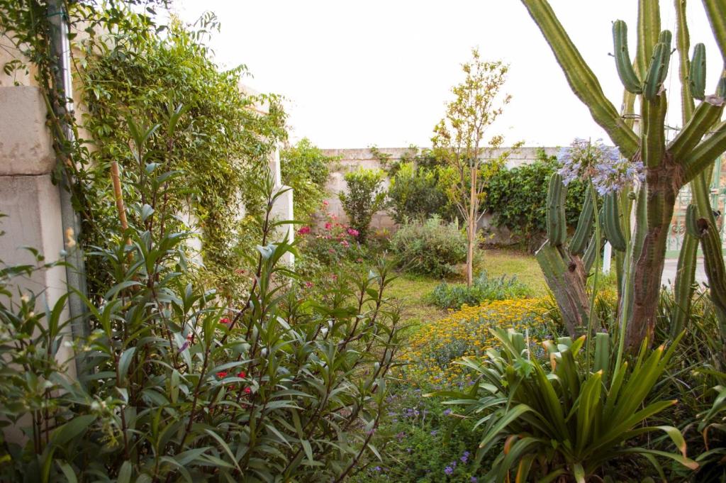 Appartamento in masseria a Porto Cesareo - 3