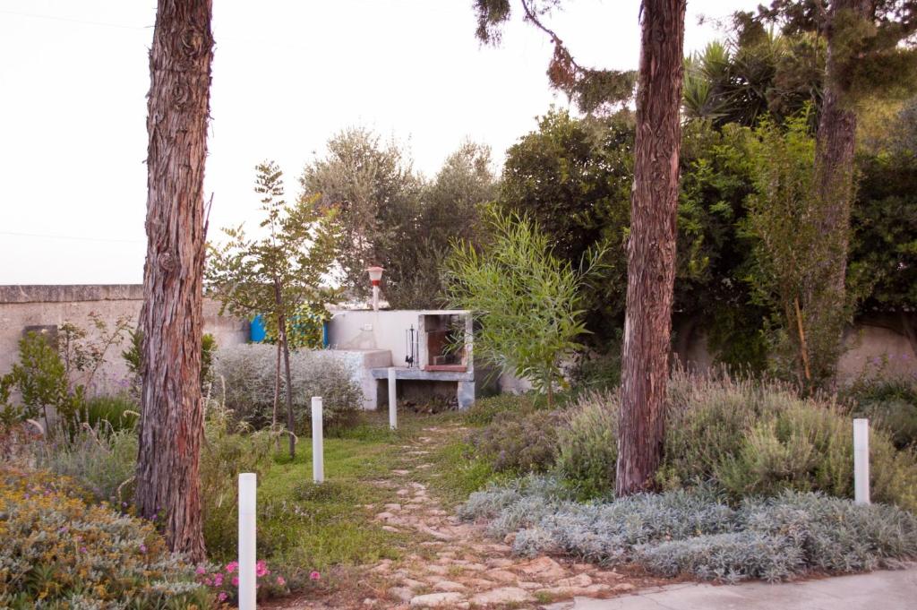 Appartamento in masseria a Porto Cesareo - 2