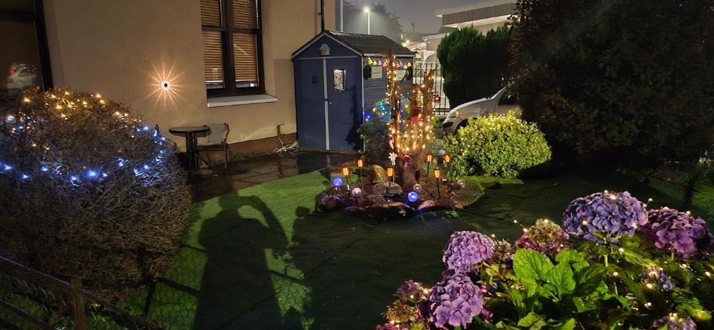 Wonderful Dundee Dreams, Dundee