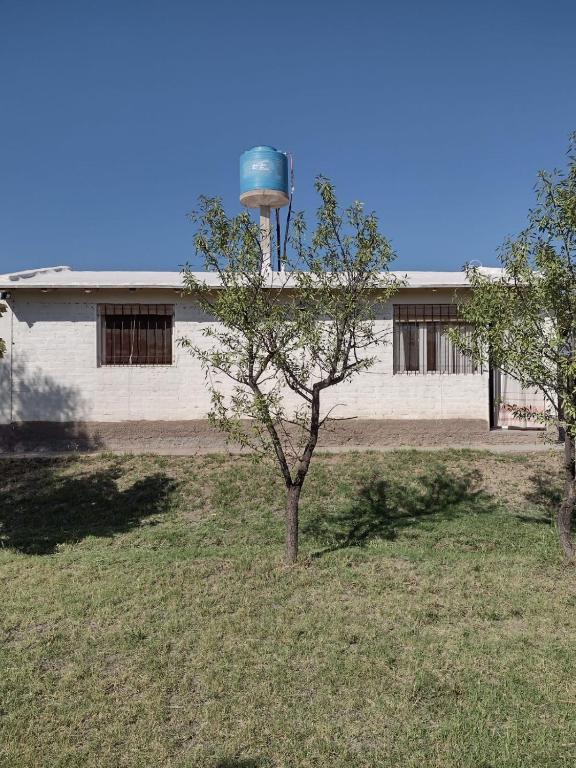 Alojamiento en La Consulta - 2