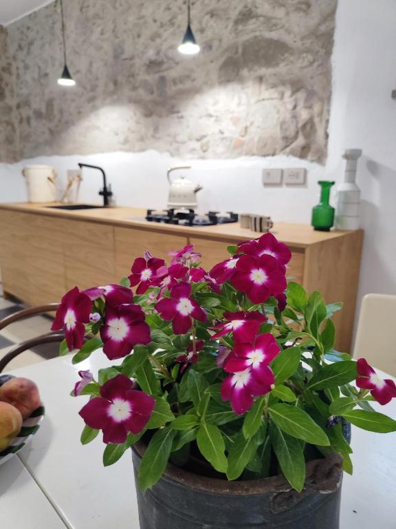 Casa Don Michele - 5