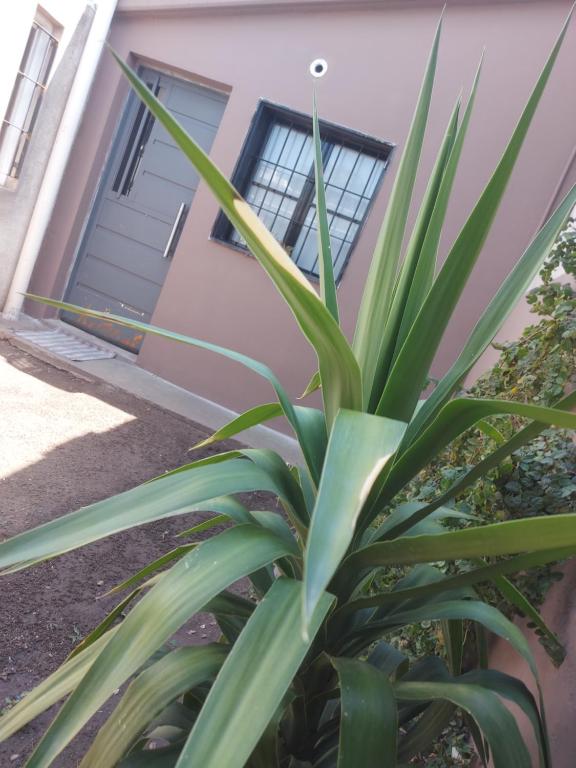 Complejo Igualdad - 3