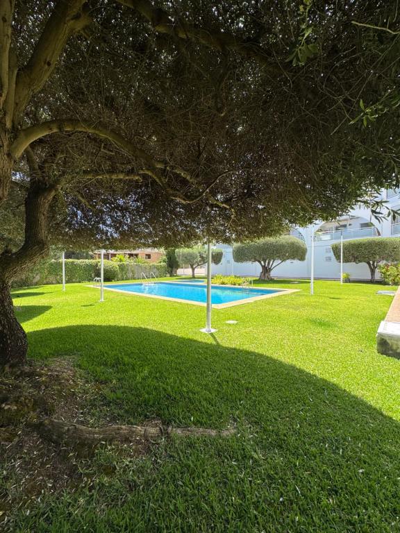Albir Adventino LOVE - 3