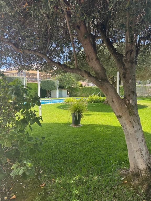 Albir Adventino LOVE - 2