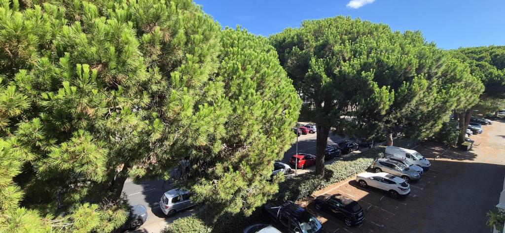 T2 43m2 , centre ville, parking - 2