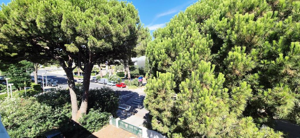 T2 43m2 , centre ville, parking - 5