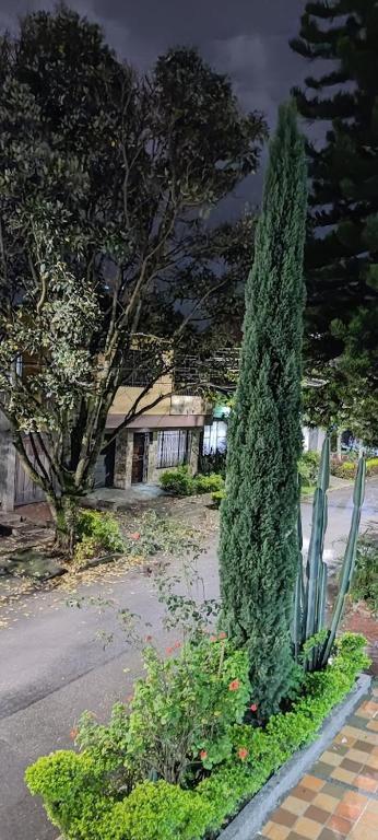 Cerca a el estadio - 5