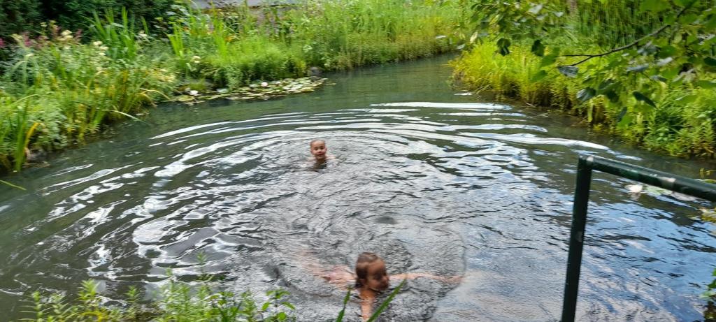 Chalet Mandl Sauna Pool EG Rollstuhlgängig - 3