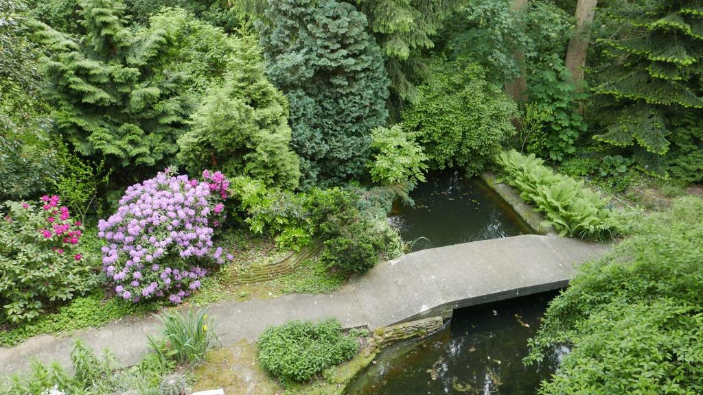 Surrounding environment