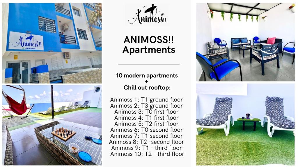 ANIMOSS! APARTMENTS - 10 modern apartments near city center & beach, Santa Maria