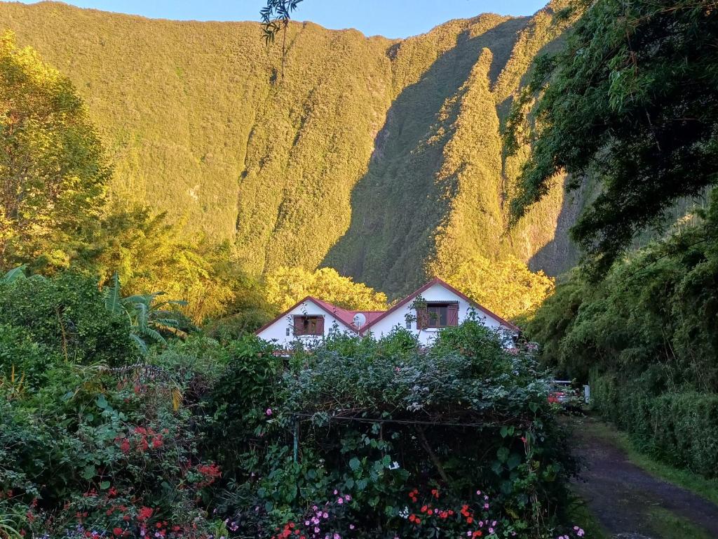 Lit simple en chambre partagée au Domaine de Baradoz, La Plaine des Palmistes
