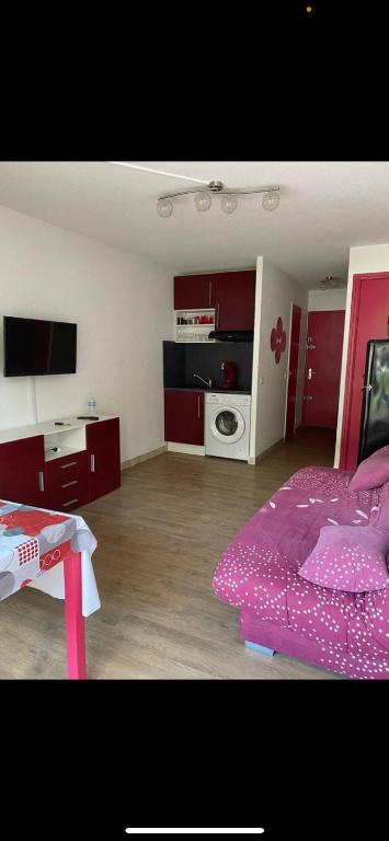 Studio Port Camargue 100m de la plage Sud - 3