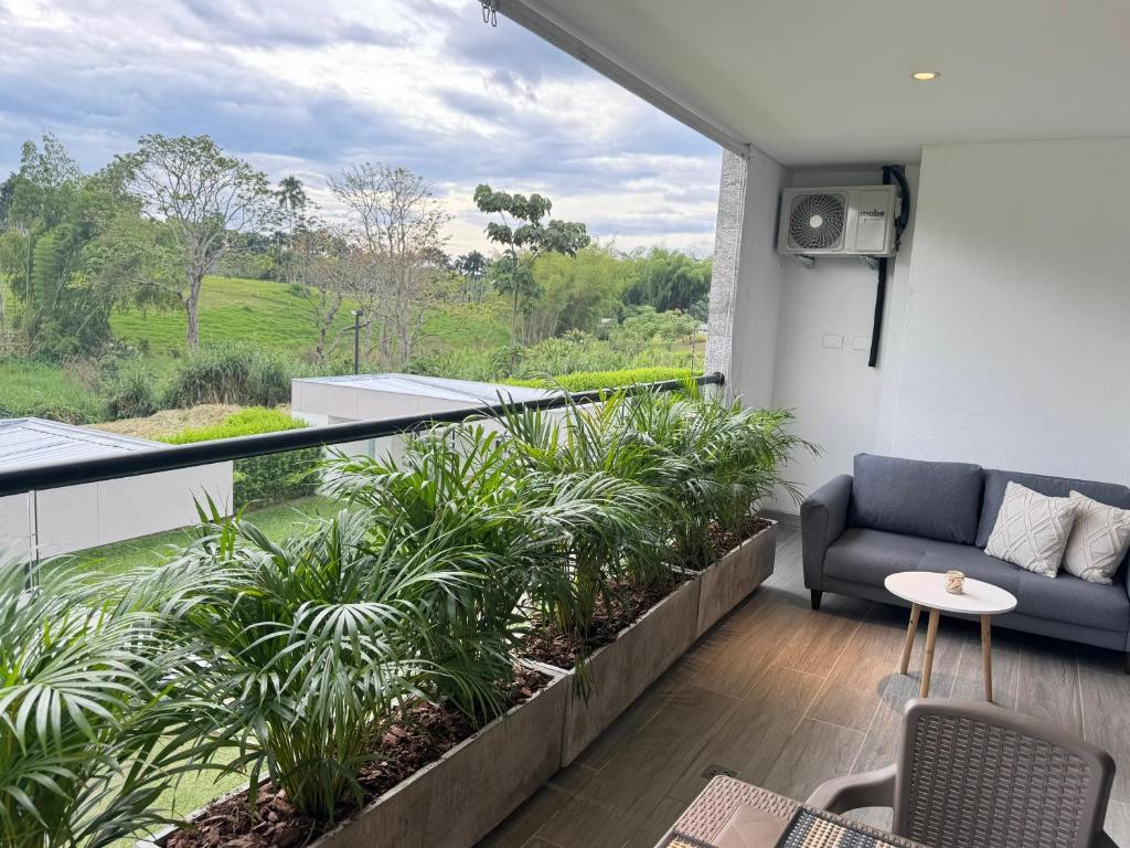 Apartasuite 206, Armenia