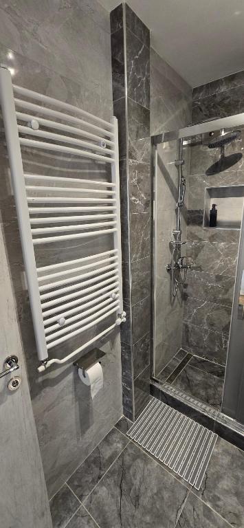 Lux Apartman Stojanović - 5