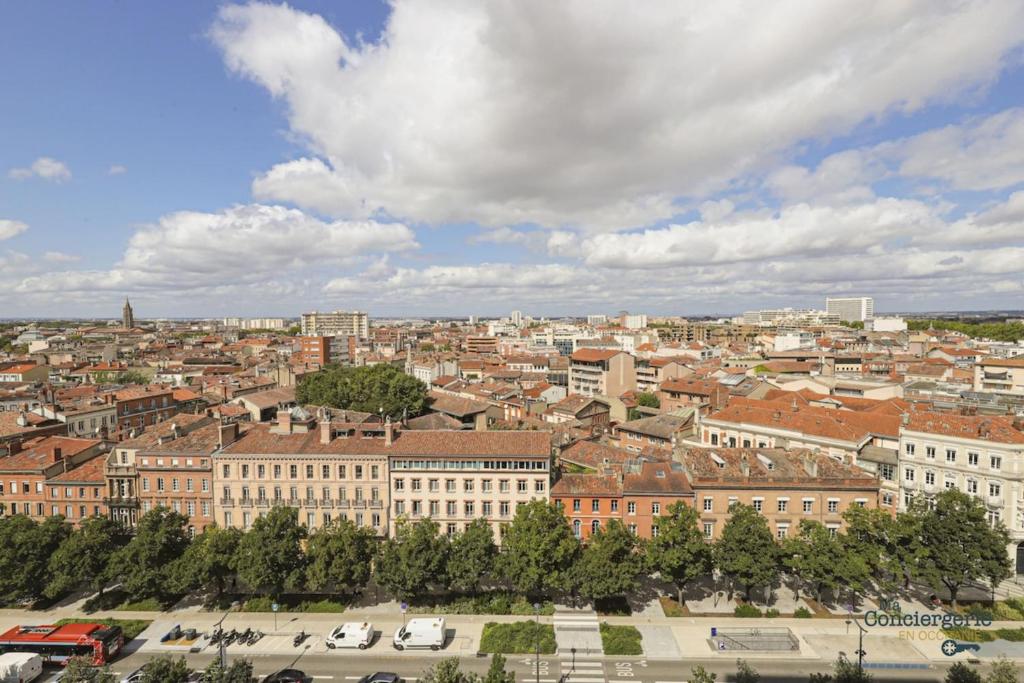 Jaures HYPER-CENTRE TOULOUSE VUE PANORAMIQUE - 3