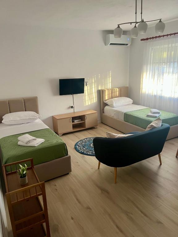 Fredi Studio, Tirana