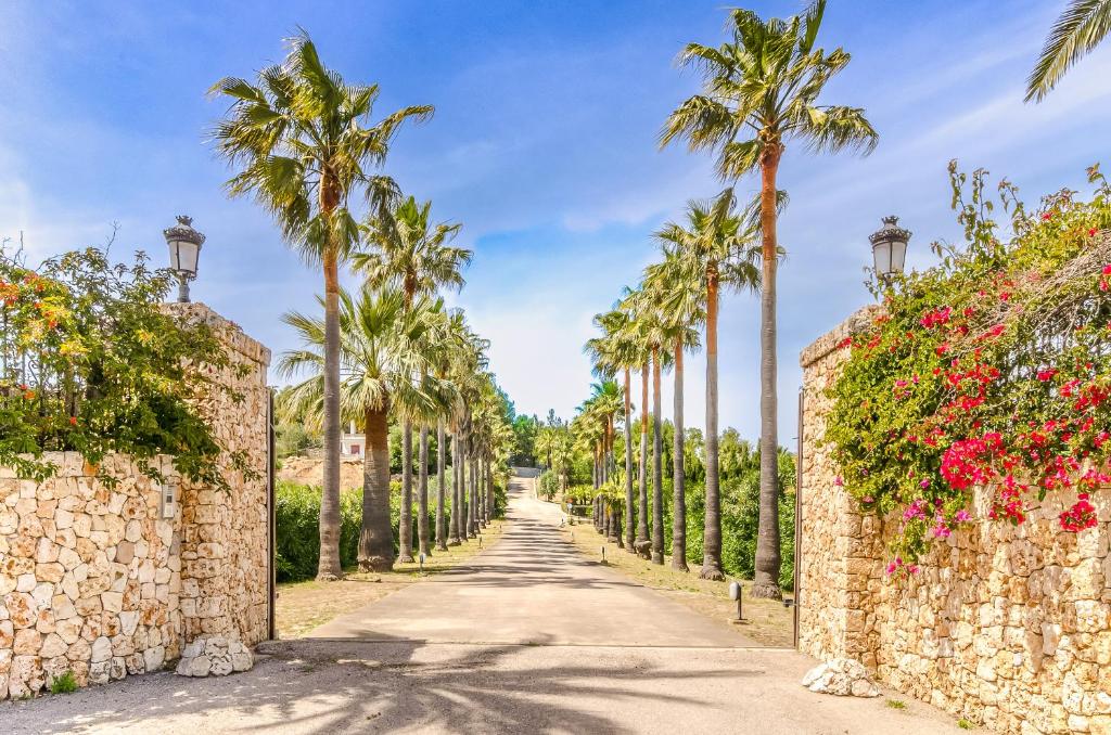 Luxury Villa Es Molinet - 5