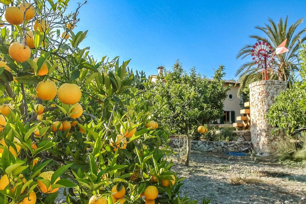 Luxury Villa Es Molinet - 4