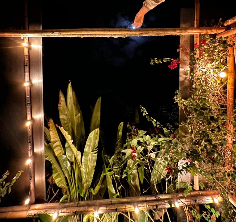 mamaquilla grupal glamping - 3