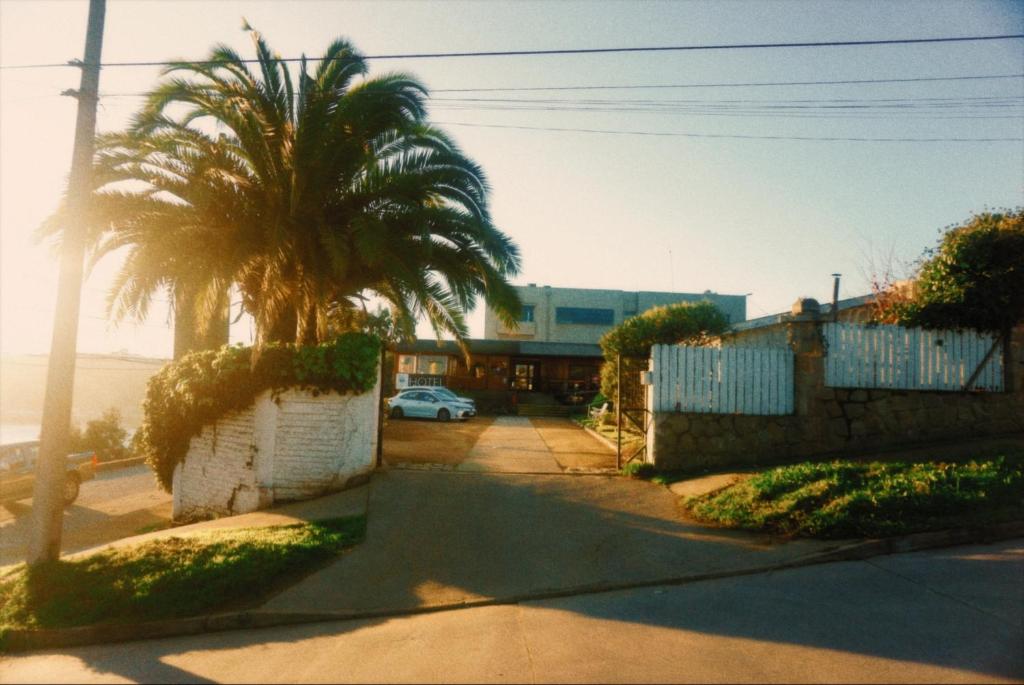 Hotel Puerto Mayor - 3