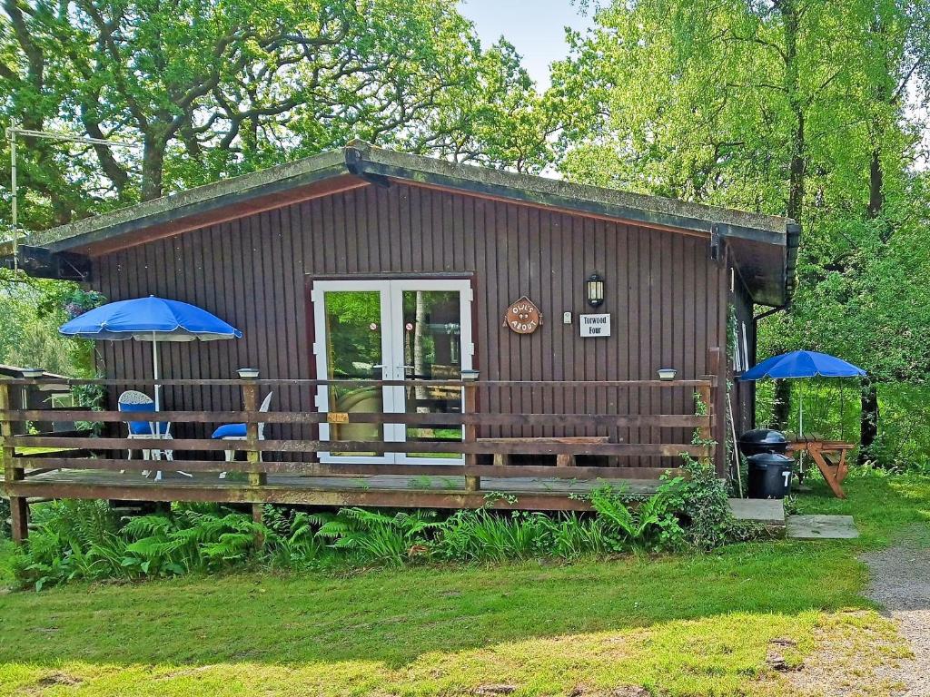 Owls About - Uk6756, Cenarth