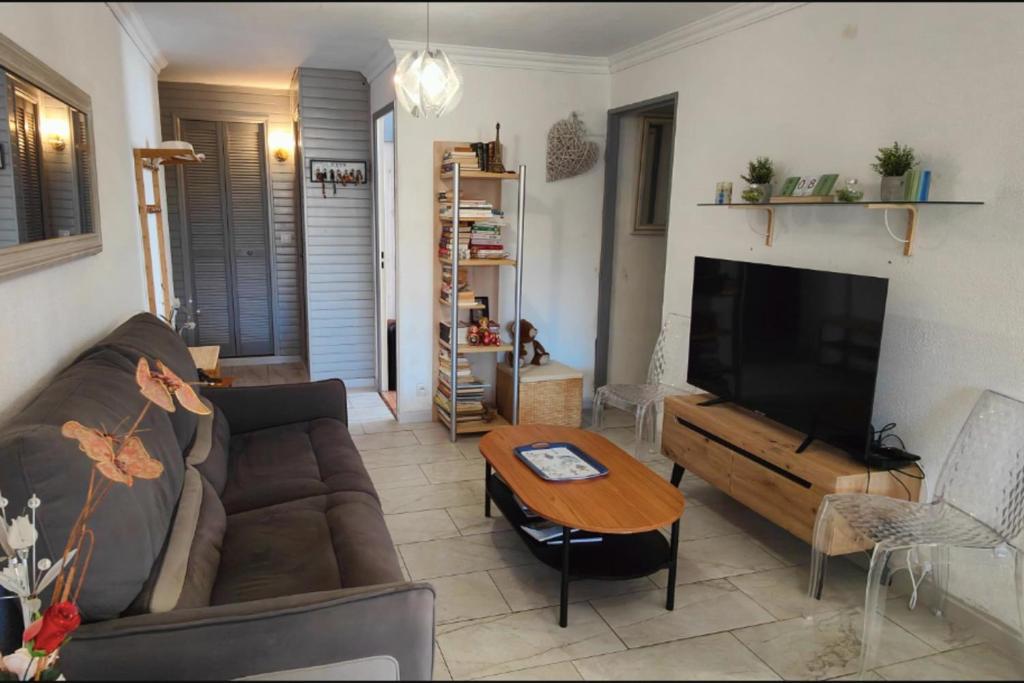 Nice 2P with Wifi & swimming pool near city center - 3