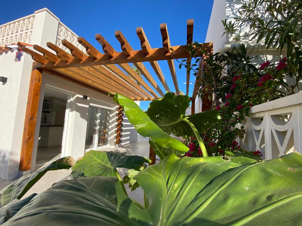 Casita del Toro - 4