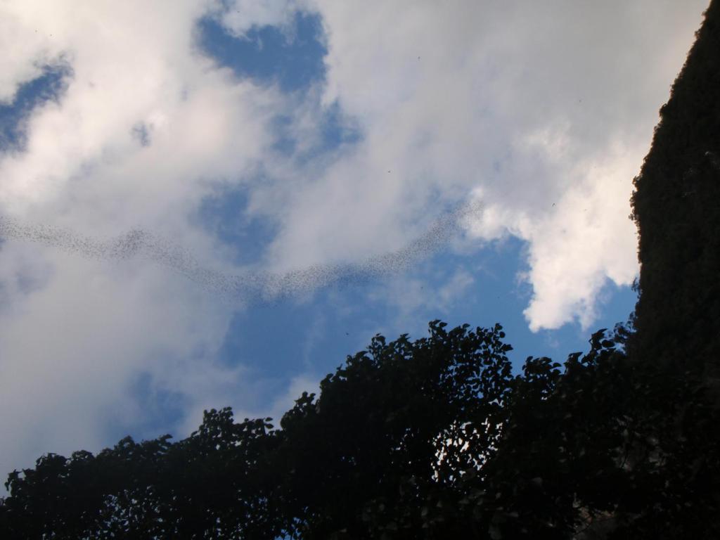 Surrounding environment