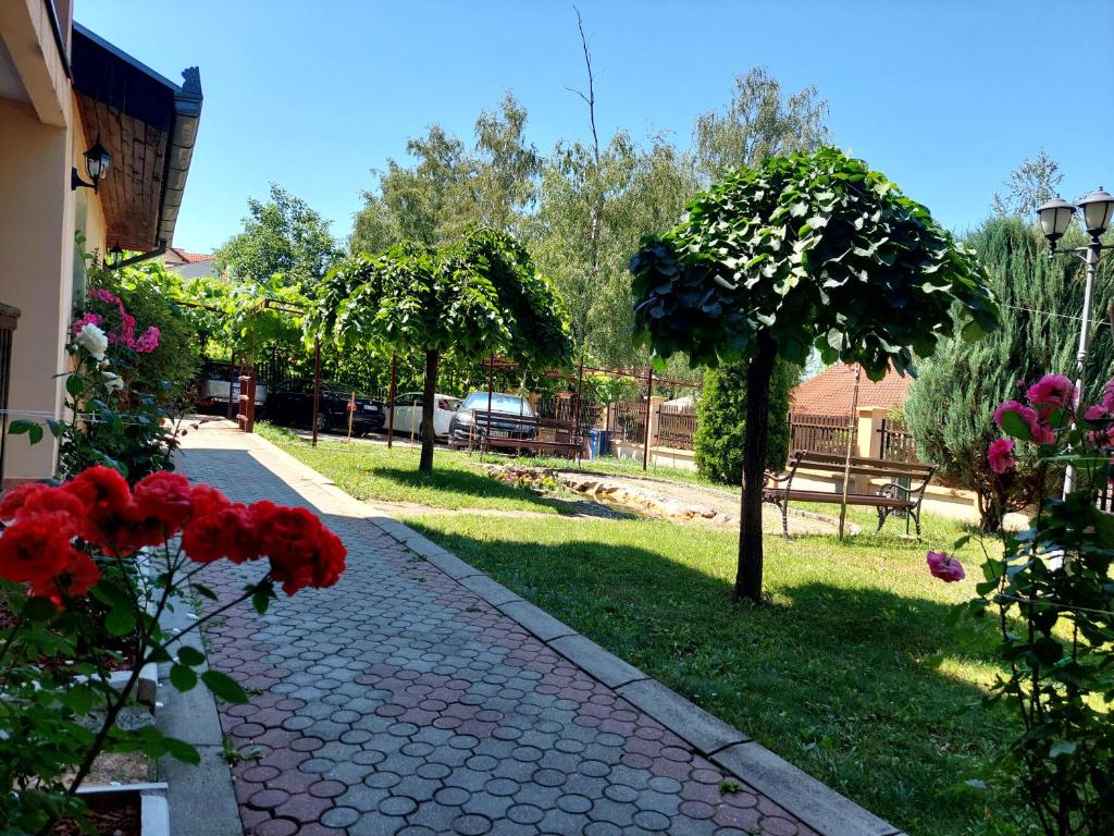 Vila Ramona Sokobanja - 3