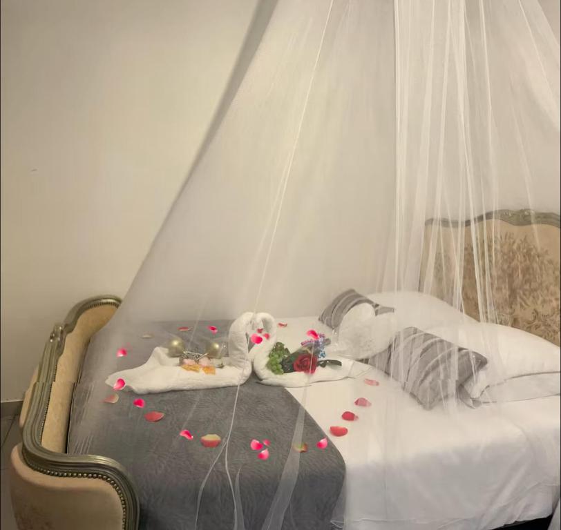 CARCASSONNE Studio avec Jacuzzi y piscina - 5