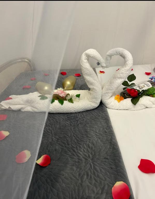 CARCASSONNE Studio avec Jacuzzi y piscina - 4