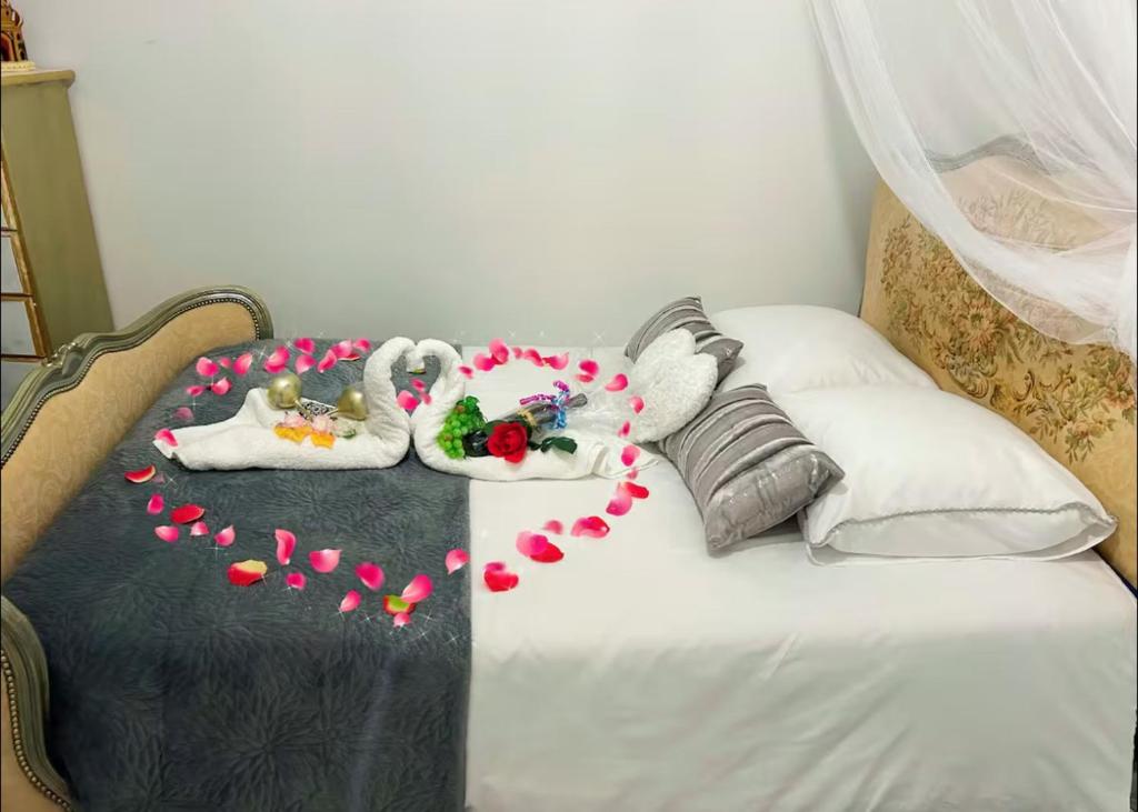 CARCASSONNE Studio avec Jacuzzi y piscina - 2