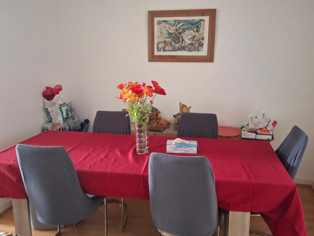 Studio meublé avec TV, cuisine, sdb, Arni Alp