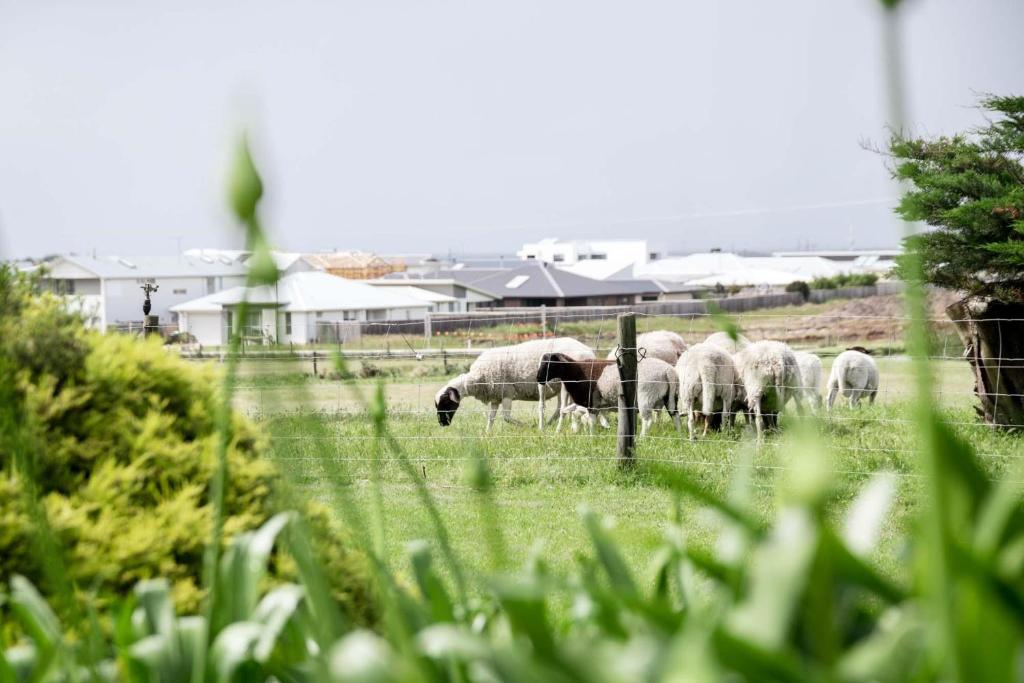 Seaside Country Escape, Torquay