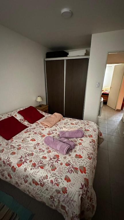 Kurashi vacacional - 2