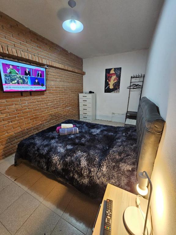 Cassanova V, San Luis