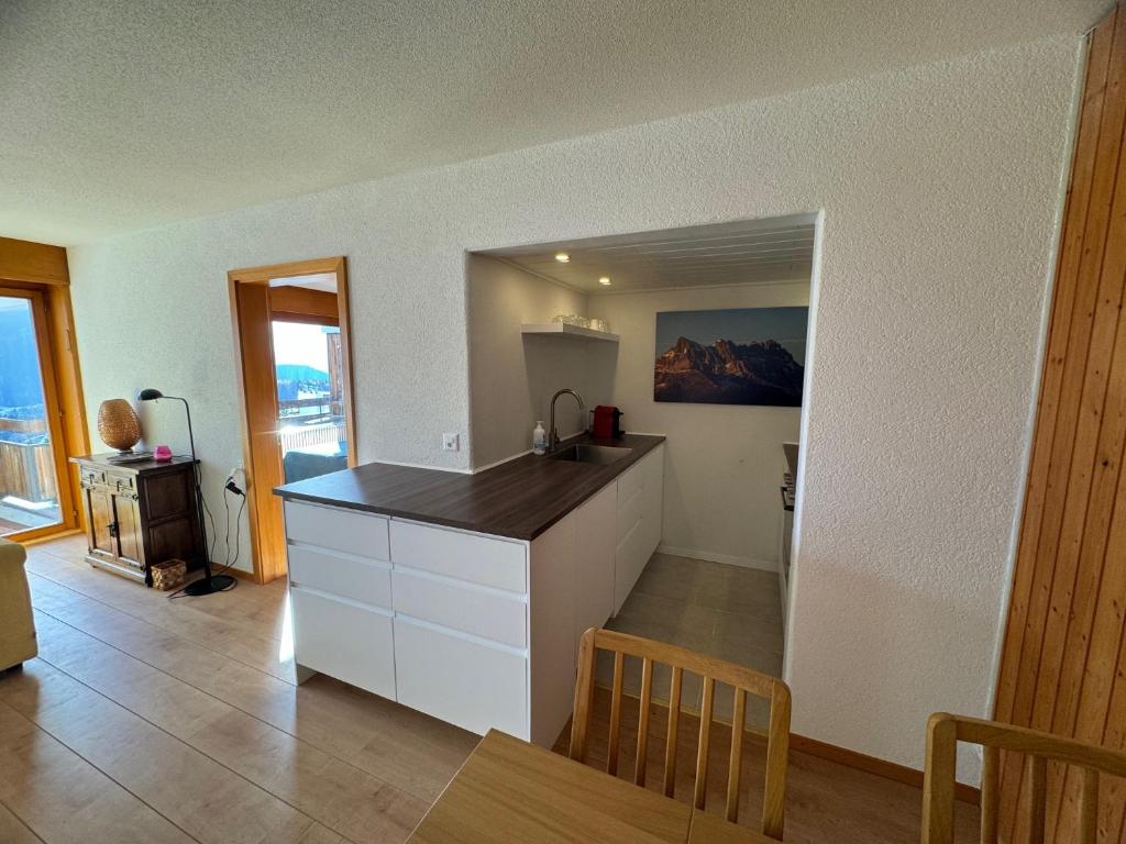 Dents du Midi A11, Leysin