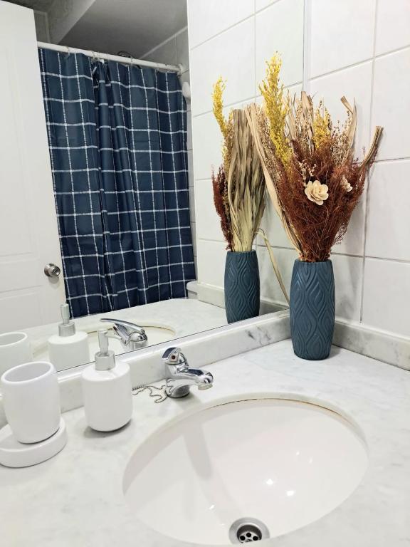 Depa Metro moneda Lord Cochrane - 4