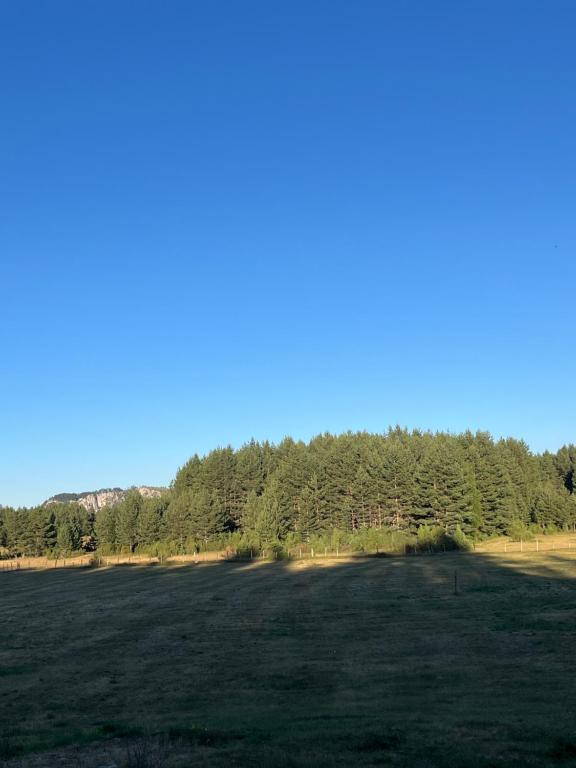 Durmitor Stay - 4