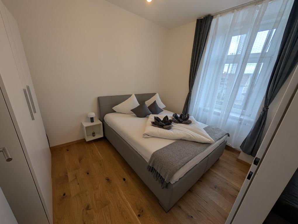 Flataid Apartment Prankergasse direkt beim Bahnhof - 3