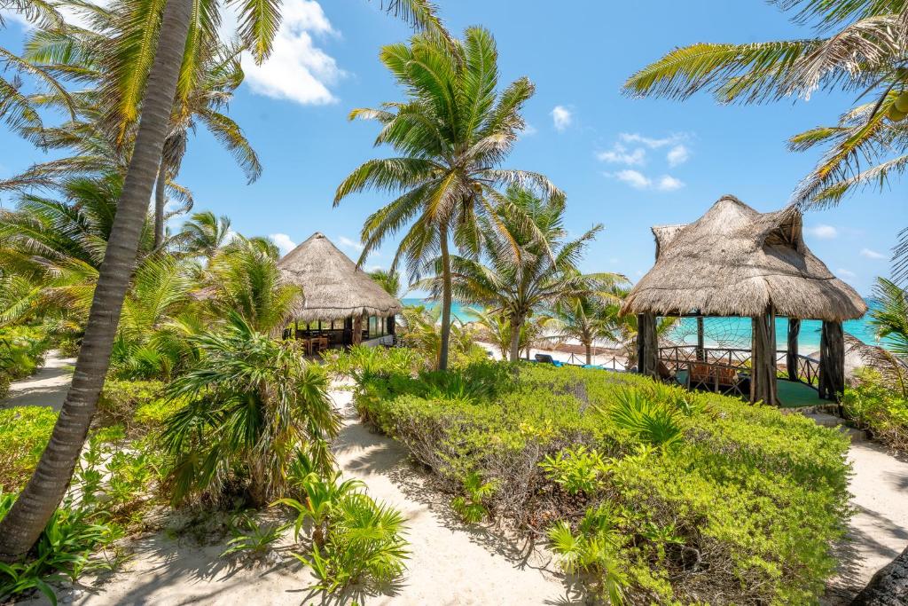 Garden, Sol Caribe in Tulum