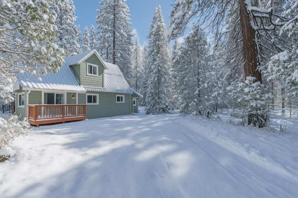 The Sparrows Nest Cozy Charm Fire Pit Fun, Shaver Lake