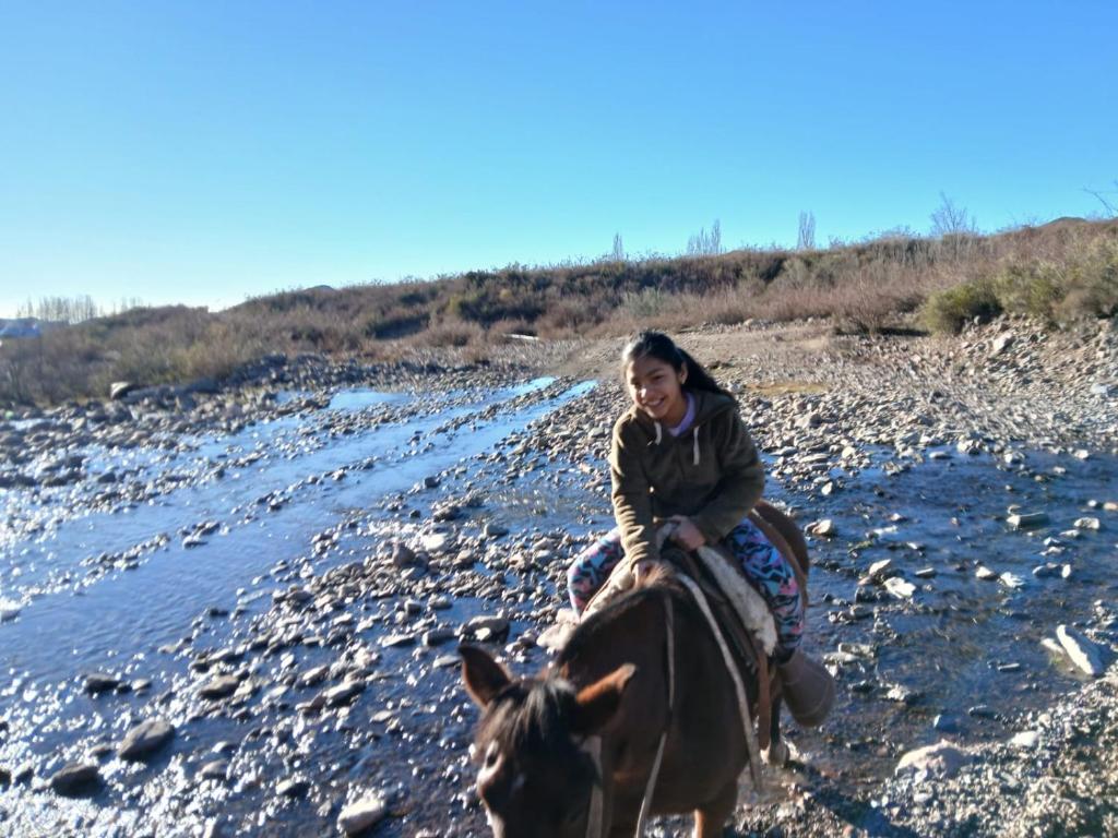 Cabañas el Cortijo - 2