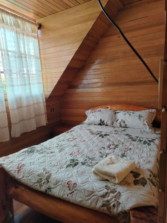 Bungalow Poetare buenos días - 4