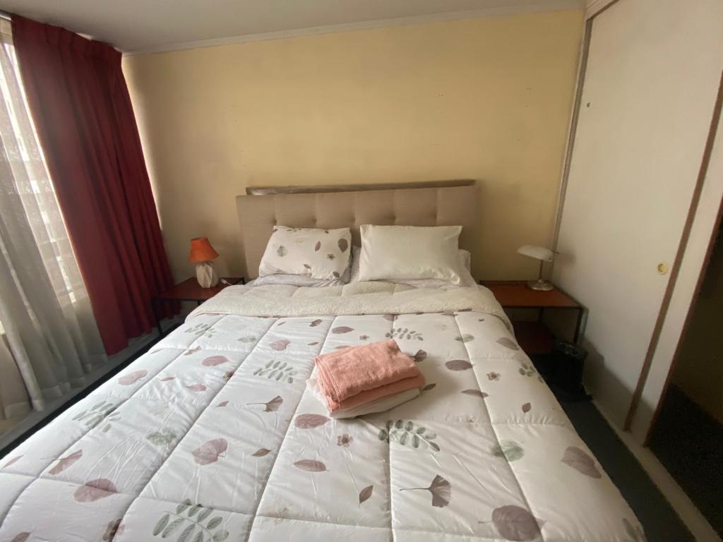 Departamento entero Santiago Centro - 5