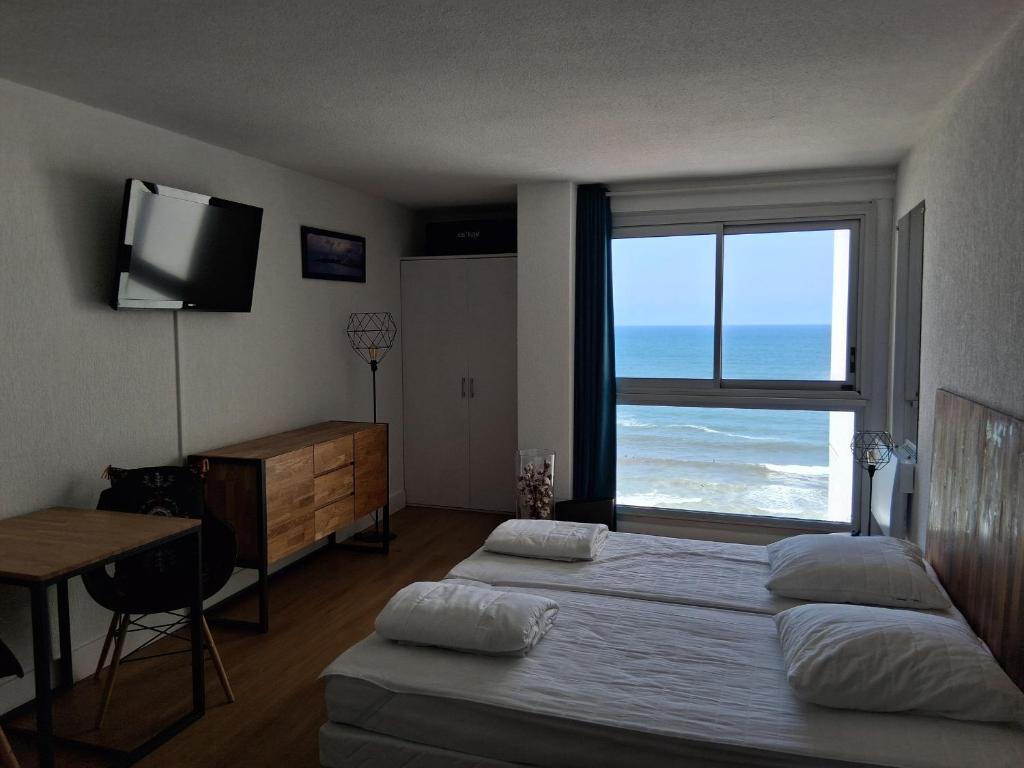 Studio moderne avec piscine, vue panoramique Biarritz - FR-1-239-1143 - 3
