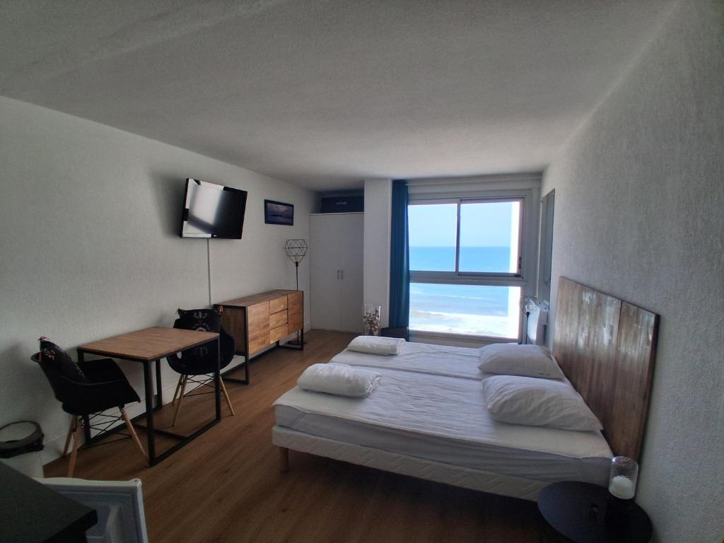Studio moderne avec piscine, vue panoramique Biarritz - FR-1-239-1143 - 4