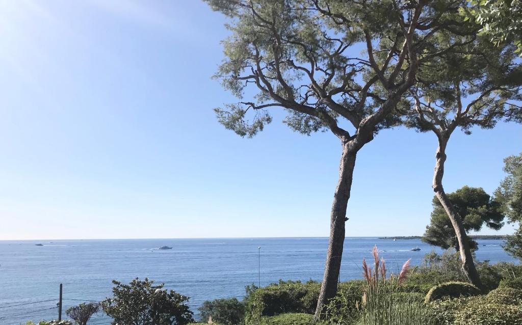 Cannes directly by the Sea, Cannes