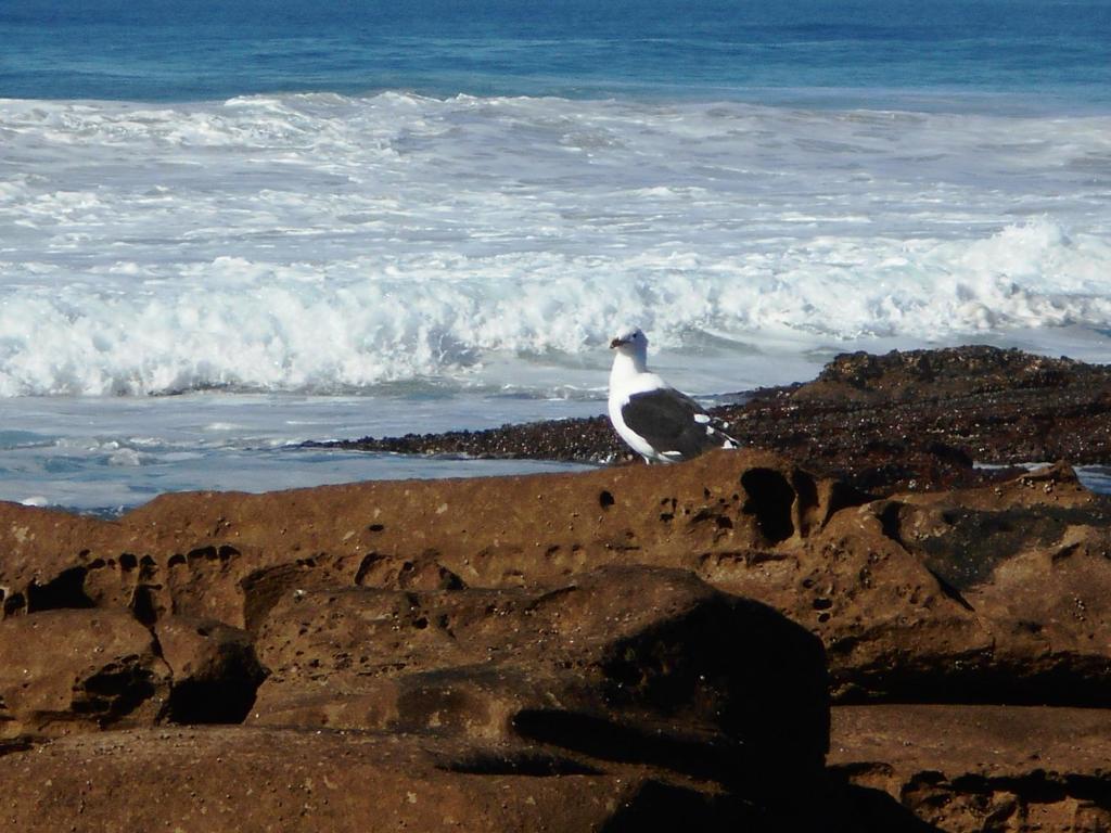 Surrounding environment